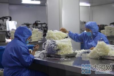 郟縣傾力打造中部地區知名醫用耗材產銷地，建設50億級產業集群